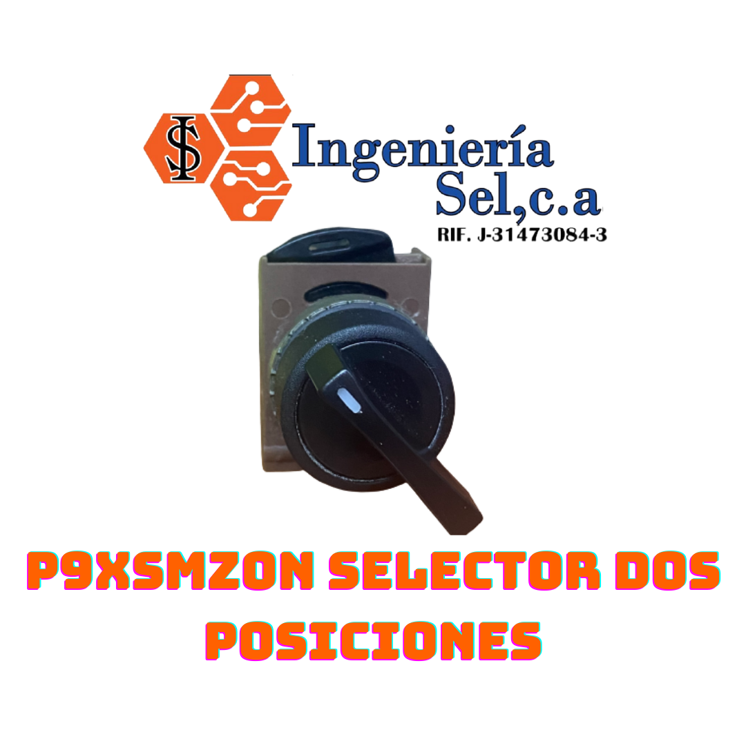 P9XSMZ0N SELECTOR DOS POSICIONES